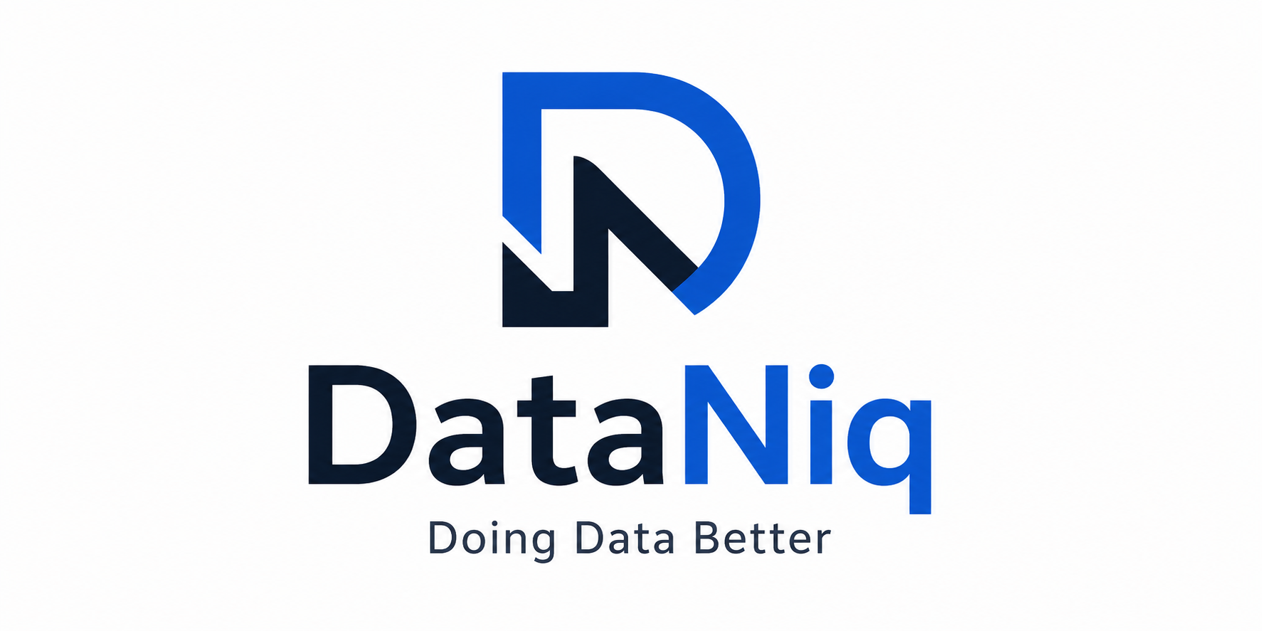 DataNiq